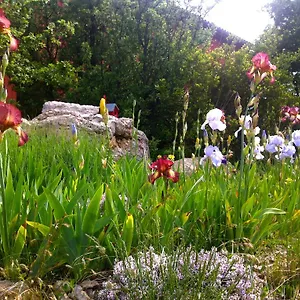 3* Gasthof Maison Rouge